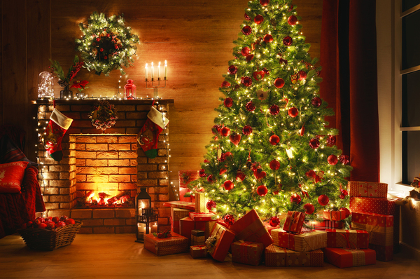 Studio backdrop NAV 55