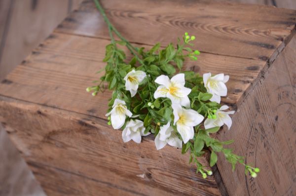 White alstroemeria stick