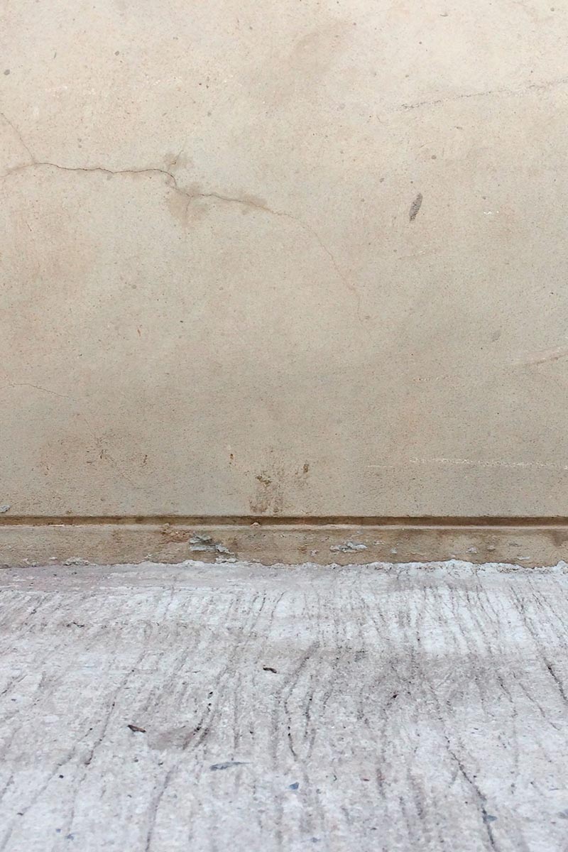 Studio background SP 21