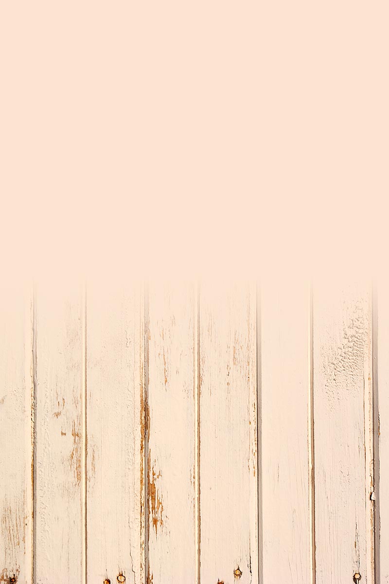 Studio background SSF 9