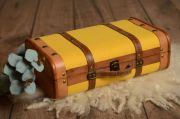 Small mustard suitcase