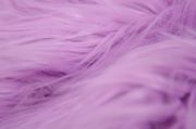 Couverture à poils lisses extralongs violet