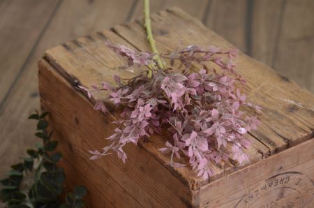 Bouquet di vite della Virginia malva