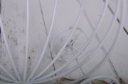 Round carriage 