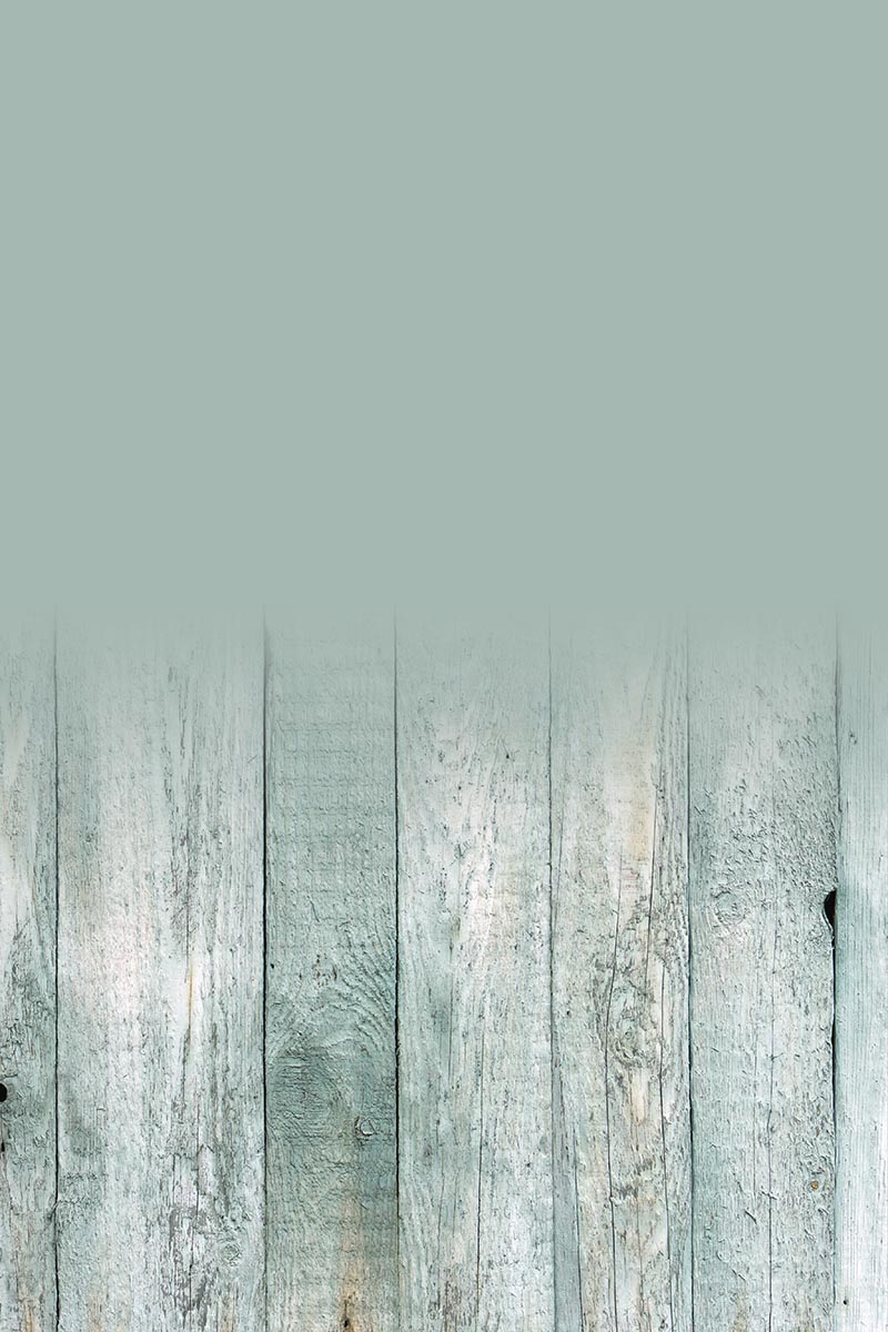 Studio background SSF 18