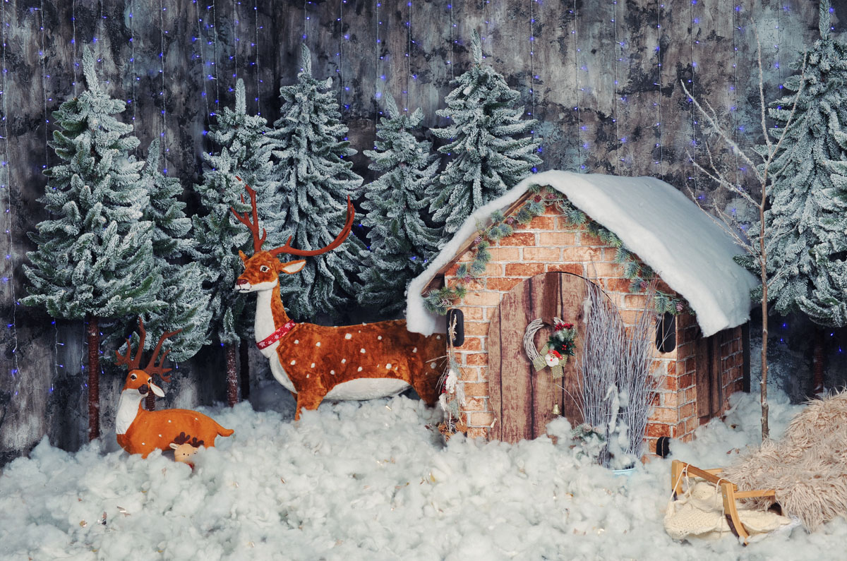 Studio backdrop NAV 34