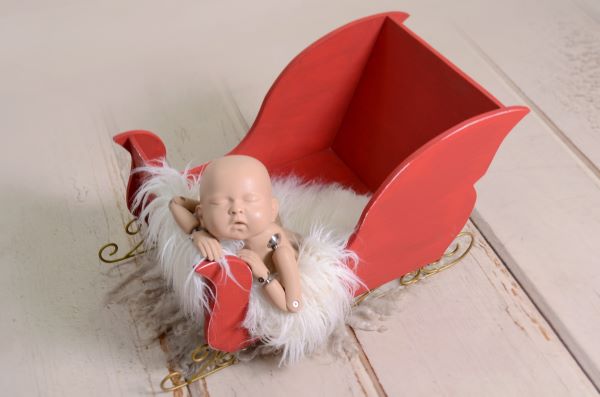 Sleigh Speke in red