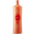 Shampoing Energy Fanola 1 Litre