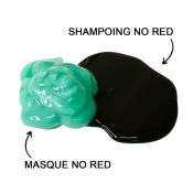 Shampoing For Brunette No Red Fanola 350 ML