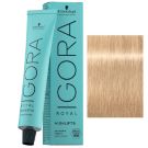 Tube Coloration Igora Royal Highlifts Schwarzkopf 60 ML 