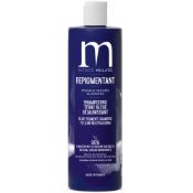 Shampoing Repigmentant Terre Bleue Mulato 500 ML