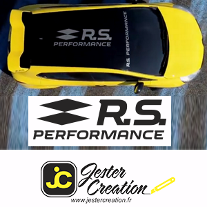 RS Performance Toit