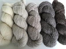 Union Yarn - British Wool Ombre Pack