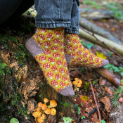 Magical Mycelium Socks Kit