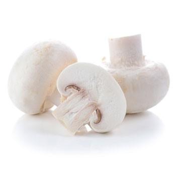 Champignon blanc
