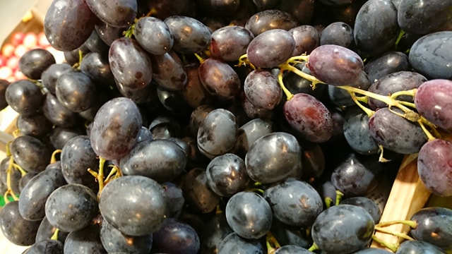 raisin noir sans pépins