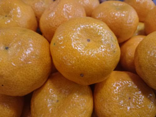 Mandarine sans pépins