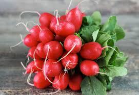 Radis rouge 