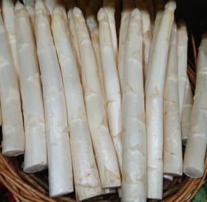 Asperge blanche