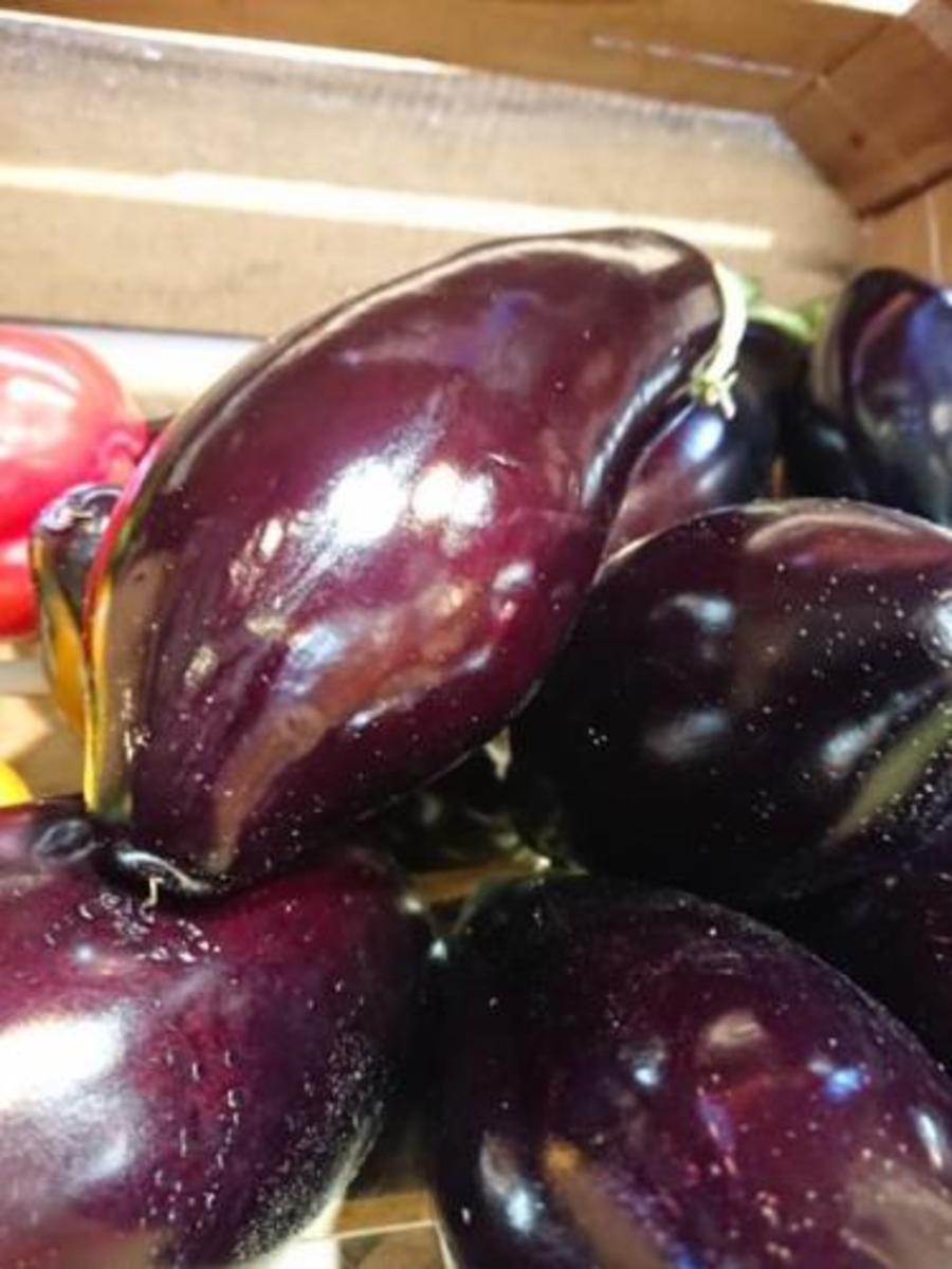 Aubergine