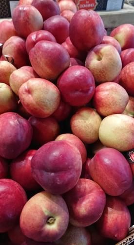 Nectarine Blanche 
