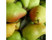 Poire william