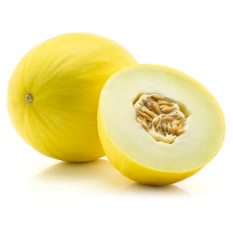 Melon jaune