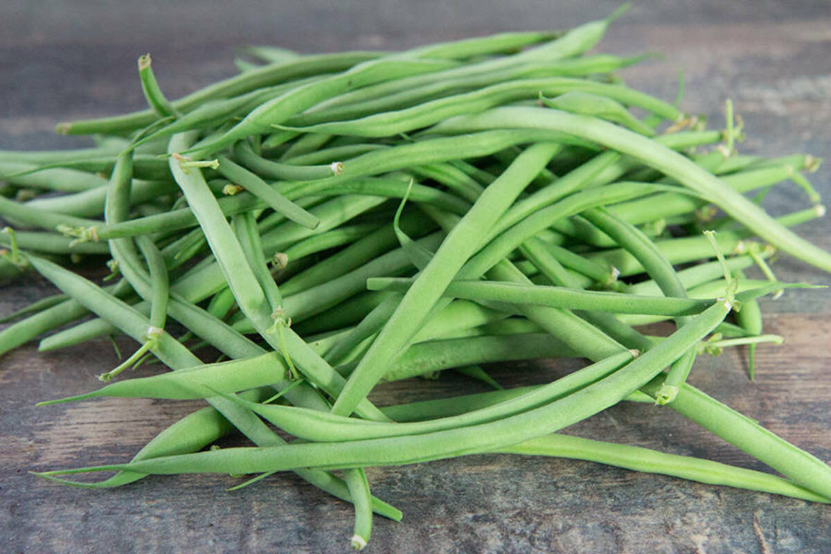 Haricot vert