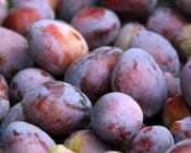 Prune dente