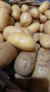 Pomme de terre Celtiane 