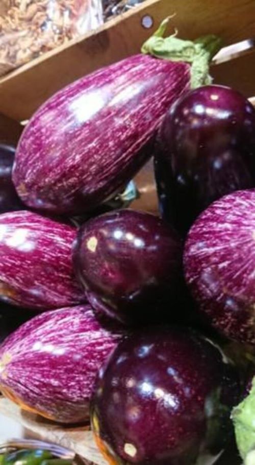 Aubergine graffity 