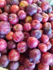 Prune rouge