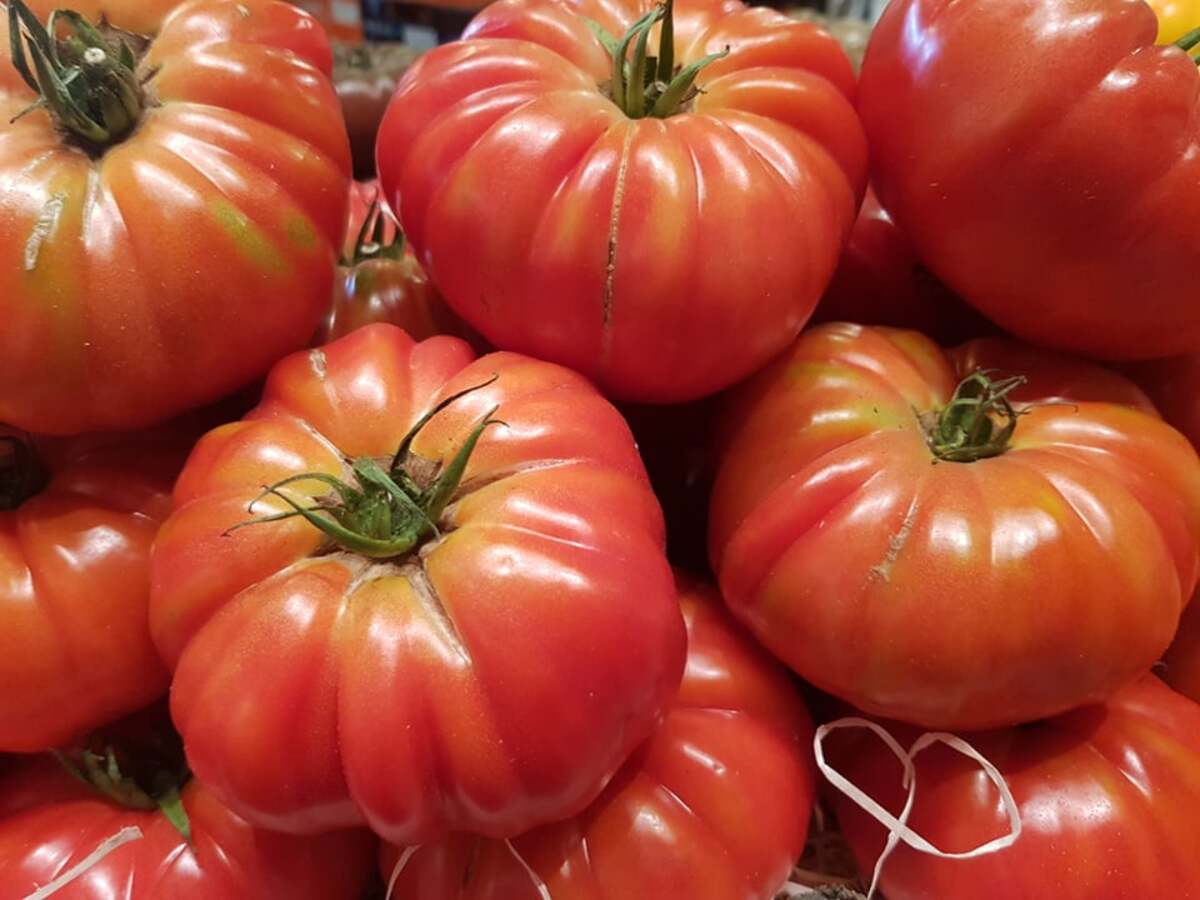 Tomate coeur de boeuf