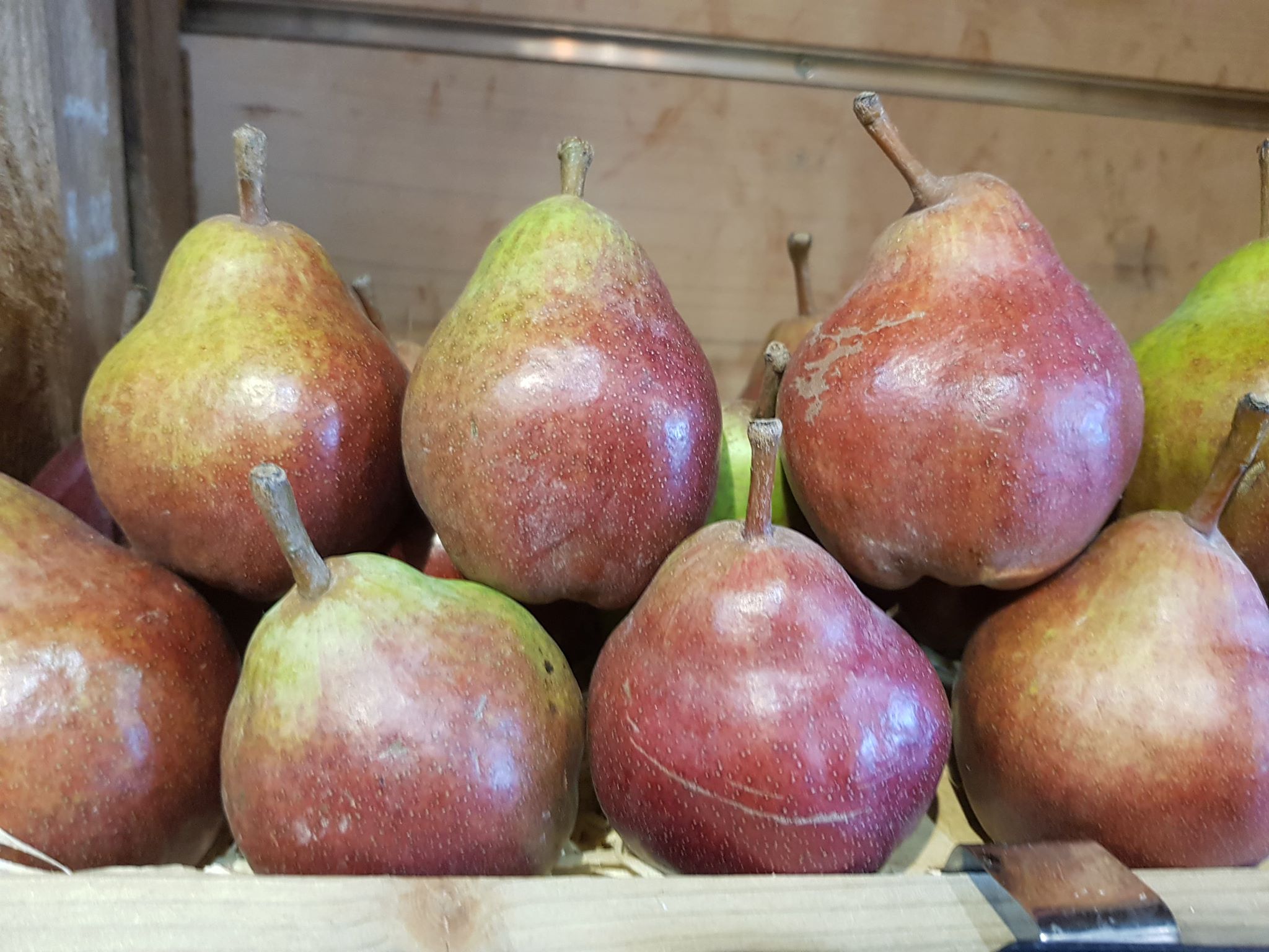 Poires William rouge