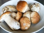 cèpes 