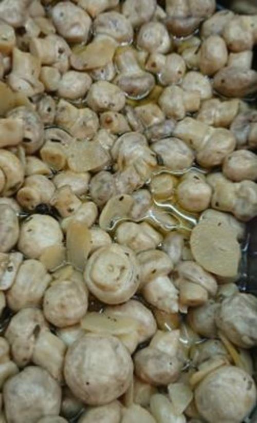 Champignon pistou