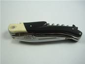 Couteau de chasse LAGUIOLE G.DAVID 12cm corne et os