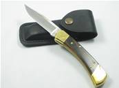 Couteau de chasse BUCK 110