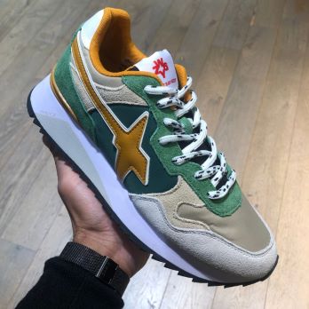W6YZ VERDE