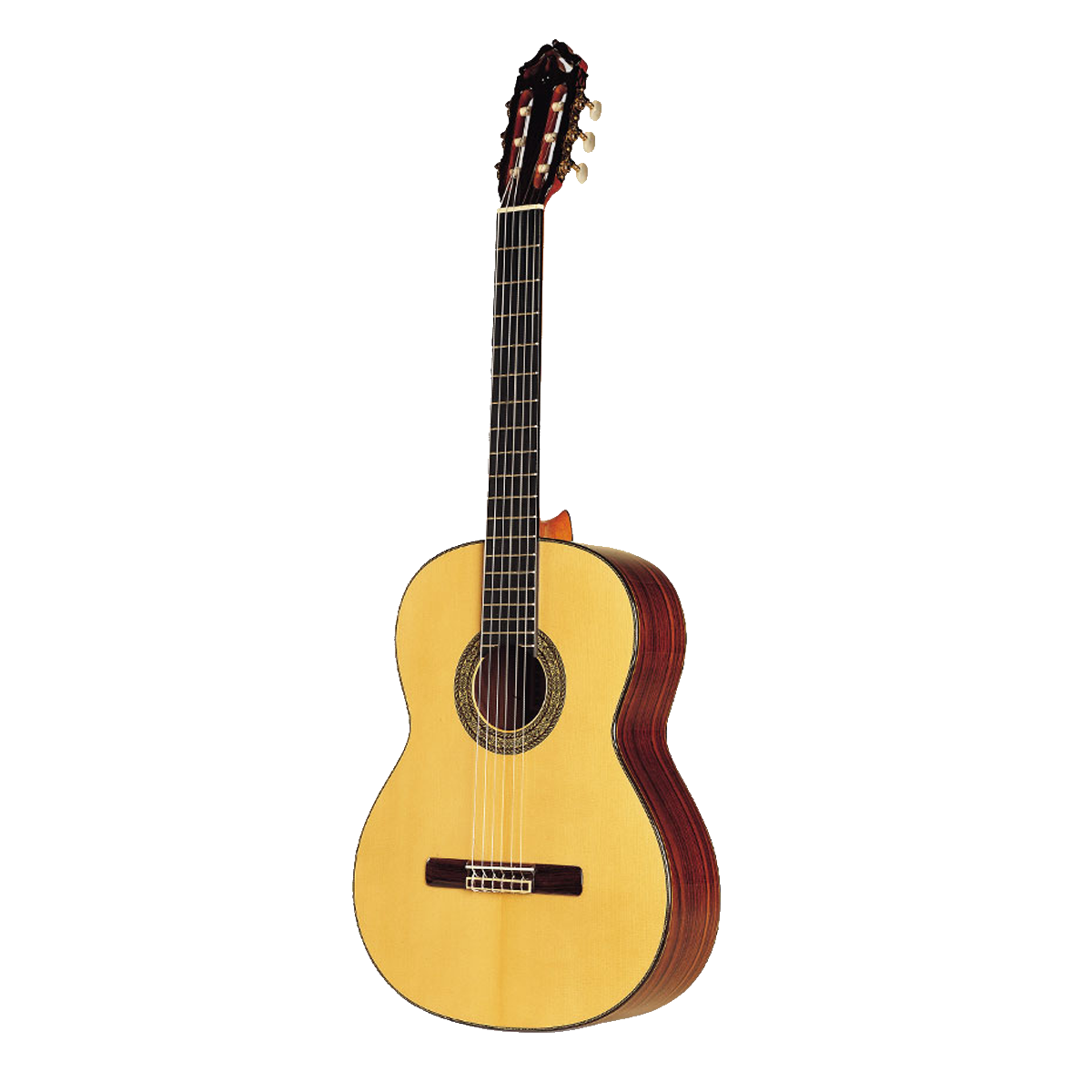 Guitare Esteve 12