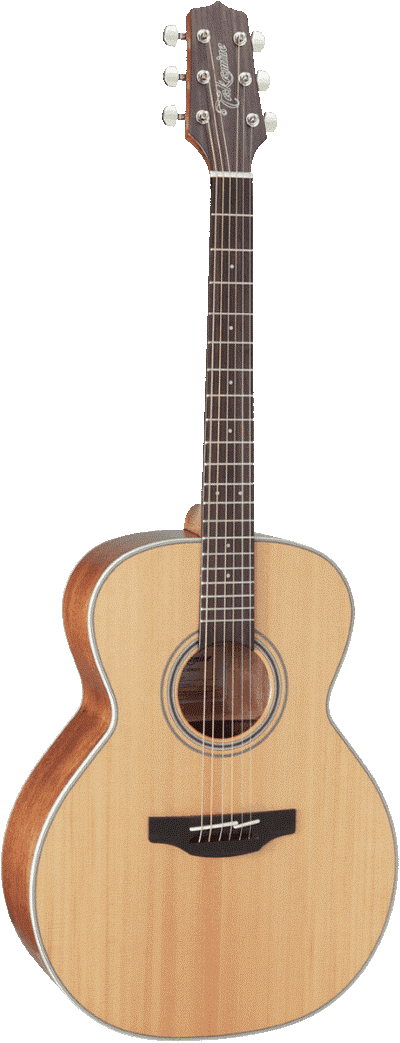 Guitare Folk Takamine GN20