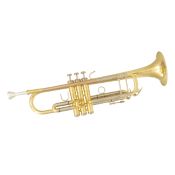 Trompette Sib SML TP500