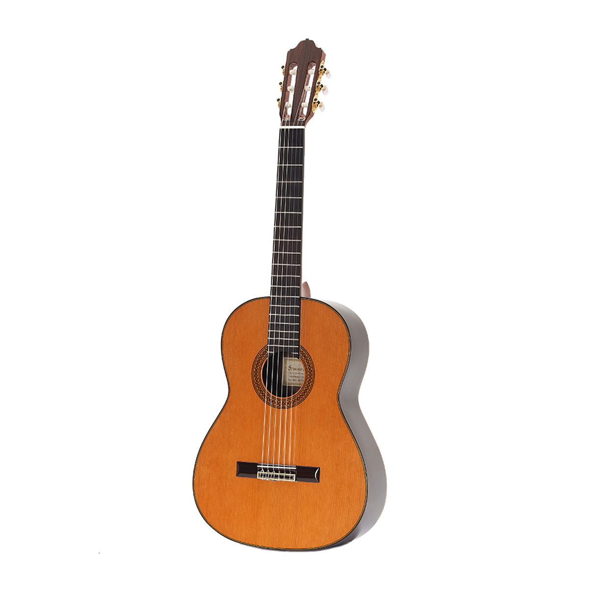 Guitare Esteve 09