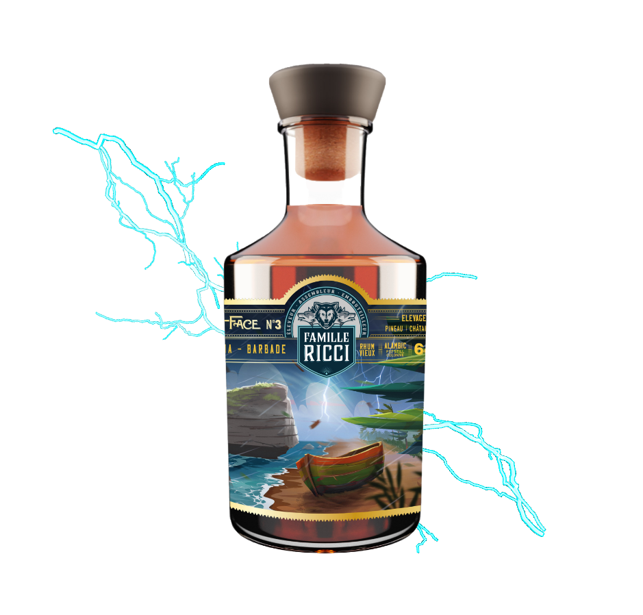 Famille Ricci Volt Face N°3 64,5%