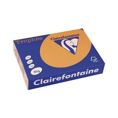 RAME A4 80GR CLEMENTINE CLAIREFONTAINE