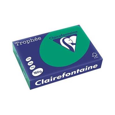 RAME A4 160GR VERT SAPIN CLAIREFONTAINE