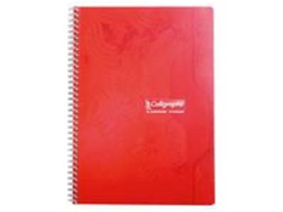 CAHIER SPIRALE A4 100P Q5/5