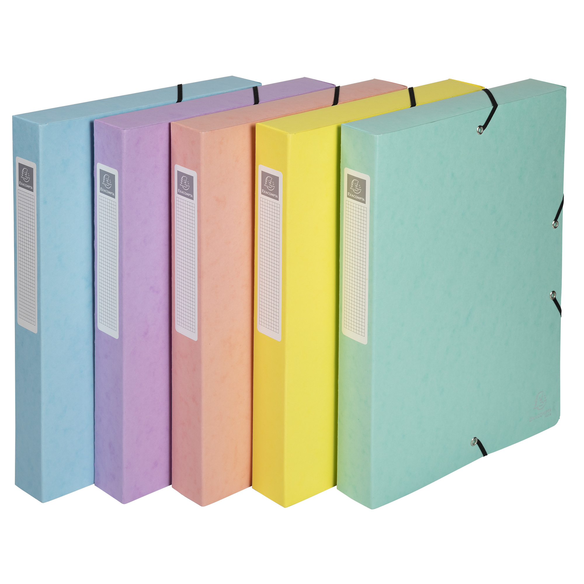CHEMISE BOX D40MM CARTON ASS PASTEL