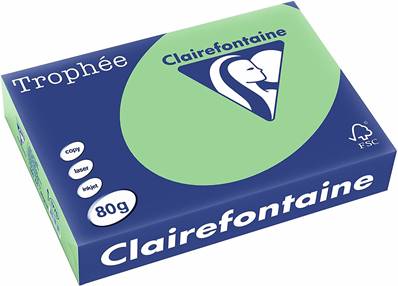 RAME A4 80GR VERT NATURE CLAIREFONTAINE