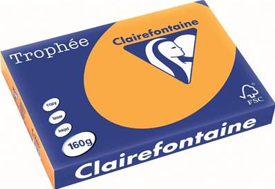 RAME A3 160GR CLEMENTINE CLAIREFONTAINE